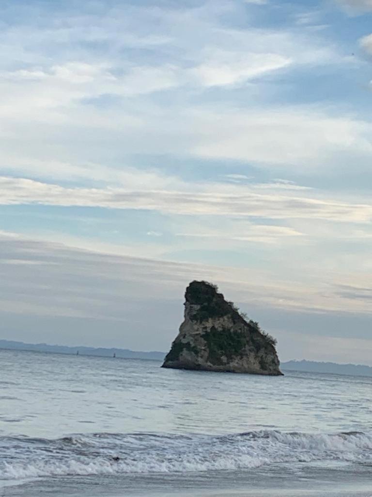 Colon Plaza Hotel Tumaco Eksteriør bilde